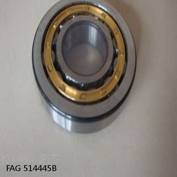 514445B FAG Cylindrical Roller Bearings