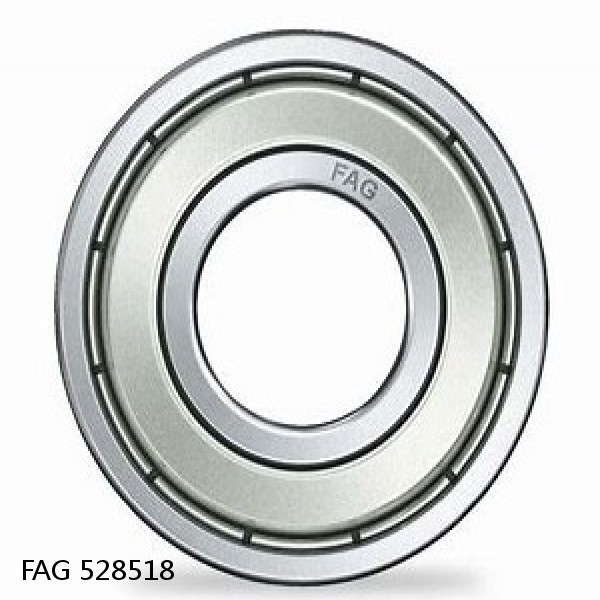 528518 FAG Cylindrical Roller Bearings
