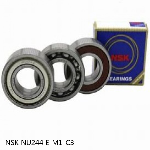 NSK NU244 E-M1-C3 JAPAN Bearing 25×62×17 #1 small image