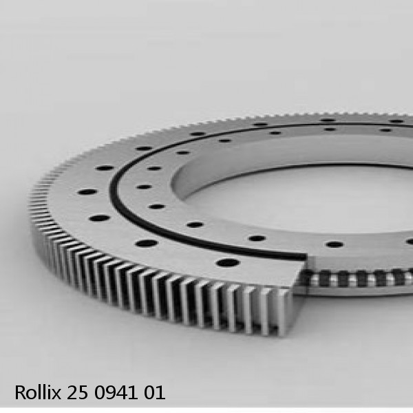 25 0941 01 Rollix Slewing Ring Bearings #1 small image
