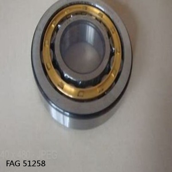 51258 FAG Cylindrical Roller Bearings #1 small image