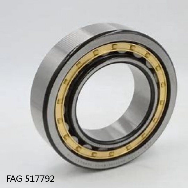 517792 FAG Cylindrical Roller Bearings