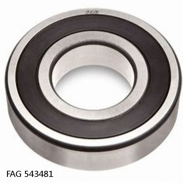 543481 FAG Cylindrical Roller Bearings #1 small image