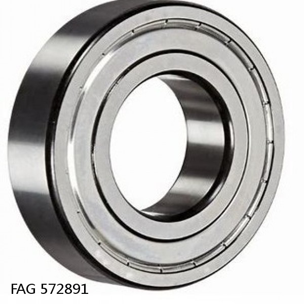 572891 FAG Cylindrical Roller Bearings #1 small image
