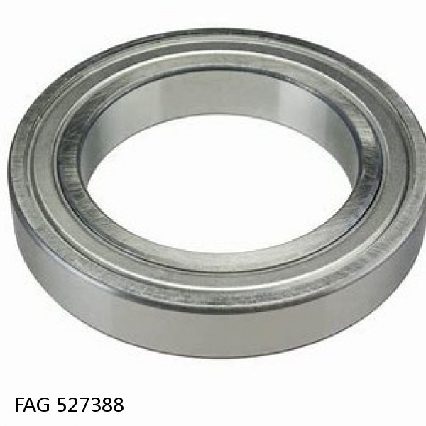 527388 FAG Cylindrical Roller Bearings #1 small image