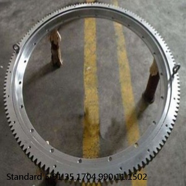 91.35.1704.990.11.1502 Standard 5 Slewing Ring Bearings #1 image