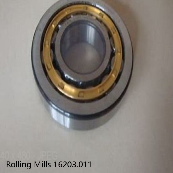 16203.011 Rolling Mills BEARINGS FOR METRIC AND INCH SHAFT SIZES #1 image