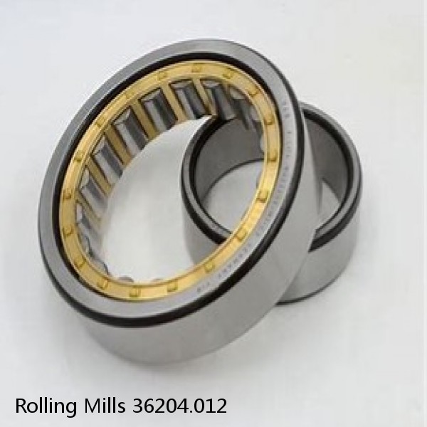 36204.012 Rolling Mills BEARINGS FOR METRIC AND INCH SHAFT SIZES #1 image